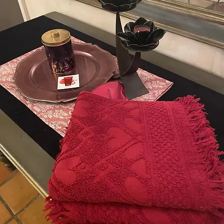 Prázdninový dům Les Lauriers Duplex Centre Avec Jardin *