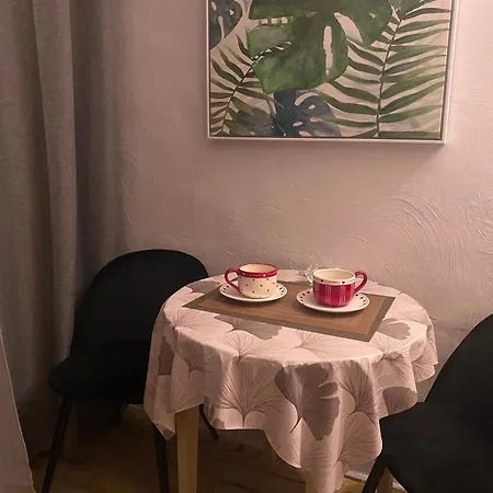 Les Lauriers Duplex Centre Avec Jardin Prázdninový dům