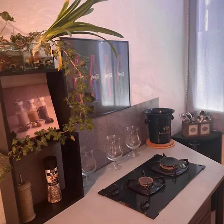 Prázdninový dům Les Lauriers Duplex Centre Avec Jardin *