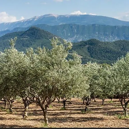 L Orangeraie